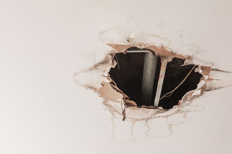 Ceiling Repair Service in Alpharetta, GA