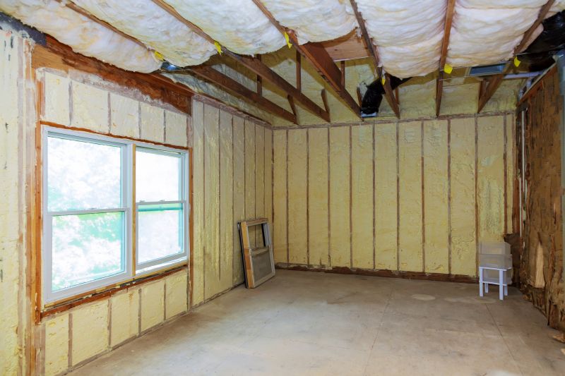 Insulation Replacement in Bastrop, TX